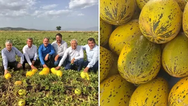 tezgahlarda 10 liraya satilan acipayam kavunu tescillendi eNrGRazt.webp