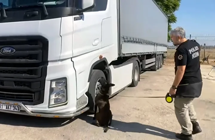 tir surucusu 55 kilo skunk ile yakalandi arkadasim rica etti dedi 2 jjuakHdm