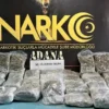 MHP’den son dakika KKTC’deki tarihi karara destek! tir surucusu 55 kilo skunk ile yakalandi arkadasim rica etti dedi ytg1AyLT.webp