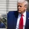 trumpin aciklamasina memnuniyet geri bildirimi G91MPgHk.webp