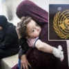 KYK burs ve kredi müracaatları başladı! unocha sozcusu cherevko gazzede ateskes catismayi sona erdirdi lakin krizi degil BnEqpeKe.webp