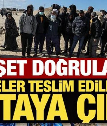 vahset dogrulandi organlarini calip oldurmusler lCdPmZRk.jpg