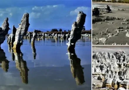 van golunun cekilmesiyle ortaya cikan mikrobiyalitlere fotografci ilgisi aWyDLSZD.webp