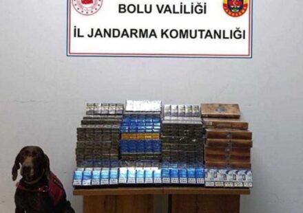 Yolcu otobüsünde bin 650 paket kaçak sigara ele geçirildi yolcu otobusunde bin 650 paket kacak sigara ele gecirildi JwXel21R.jpg