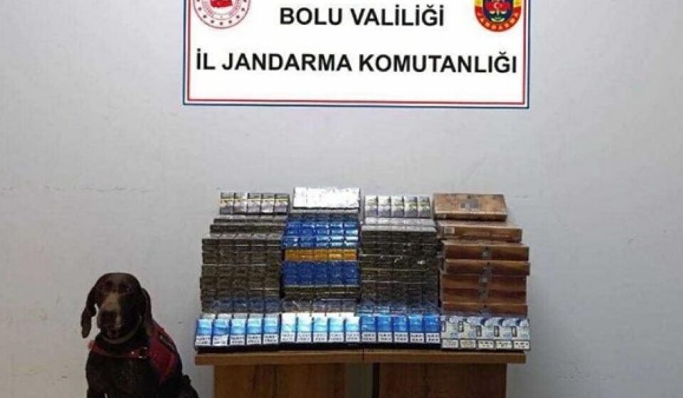 Yolcu otobüsünde bin 650 paket kaçak sigara ele geçirildi yolcu otobusunde bin 650 paket kacak sigara ele gecirildi JwXel21R.jpg